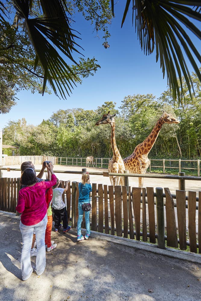 sables d'olonne zoo